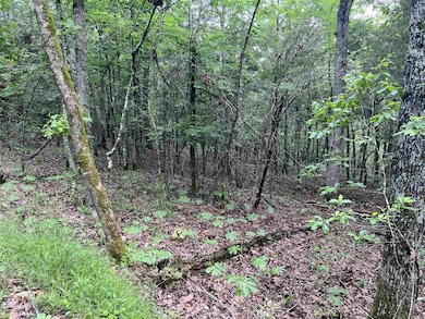 0 Meadow Creek Dr unit 24016886, Harrison, AR 72601 - photo 5