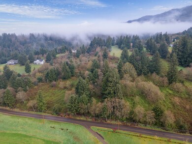 0 Sollie Smith Rd N unit TC-20341, Tillamook, OR 97141 - photo 6