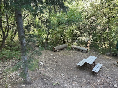 49 N Pine Creek Rd E, Mount Pleasant, UT 84647 - photo 4