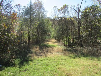 Tbd Peach Brook, Nixa, MO 65714 - photo 4