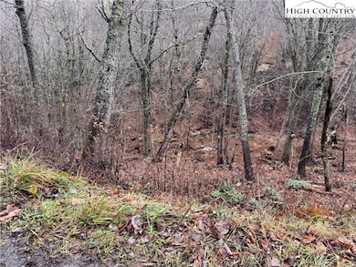 Lots 39 and 40 Snow Ridge Rd, Banner Elk, NC 28604 - photo 2