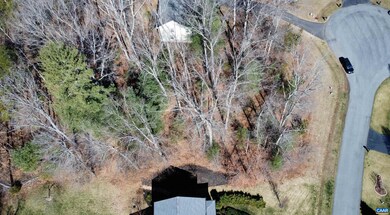 0 Lake Dr unit 649061, Ruckersville, VA 22968 - photo 7