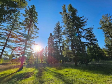 2100 Blk E Eloika Rd, Deer Park, WA 99006 - photo 7