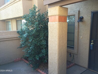 Front Patio