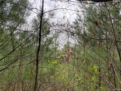 Lot 31 Walnut Cove Rd unit 31, 4, Beech Glenn, NC 28754 - photo 3