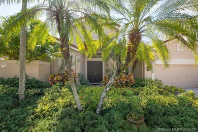 Lush Tropical Landscaping