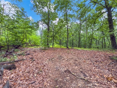 1 Cooper Bridge Rd, Gainesville, GA 30507 - photo 5