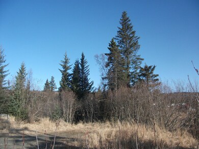 Young Healthy Trees