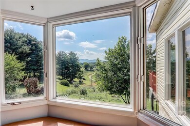 124 Dix Creek Chapel Rd, Asheville, NC 28806 - photo 7