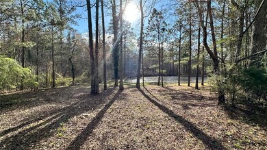 10861 Hutcheson Ferry Rd, Palmetto, GA 30268 - photo 4
