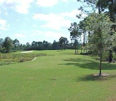 152 White Pelican Way, Carrabelle, FL 32322 - photo 6