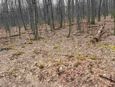 TBD Pond Lily Ln, Terra Alta, WV 26764 - photo 5