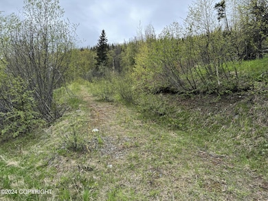 L3 B1 Timber Ridge