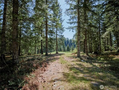 1 Loowit Ln, Cougar, WA 98616 - photo 5