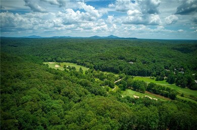 1036 Bear Paw Ridge, Dahlonega, GA 30533 - photo 6