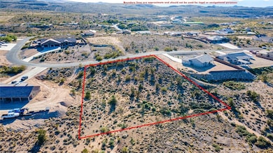 Aerial overview of property's location with property parcel outlined and mountains