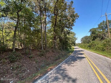 0 Summit Holmesville Rd, McComb, MS 39648 - photo 4