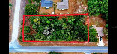 0 SW 140th Ave unit MFROM714614, Dunnellon, FL 34432 - photo 2