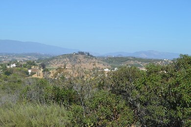 0 Red Hawk Rd unit 200004972, Valley Center, CA 92082 - photo 5