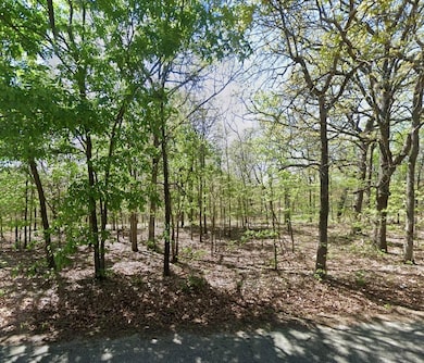 0 Eagle Dr, Eucha, OK 74342 - photo 7