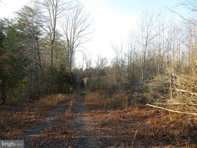 0 Grass Hopper Ln unit 1002425936, Unionville, VA 22567 - photo 5