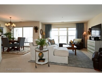 206 N Water St unit 101, Batavia, IL 60510 - photo 4