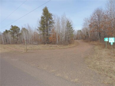 LOT 4 Minerva Dam Rd, Swiss, WI 54830 - photo 3