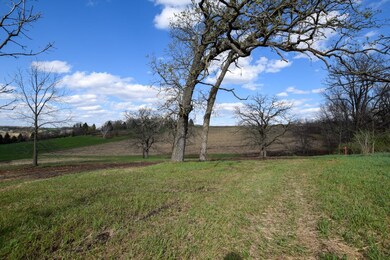 Lot 2 Monroe Sylvester Rd, Monroe, WI 53566 - photo 6
