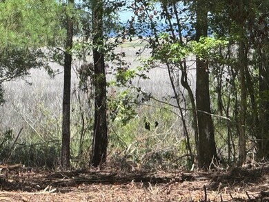 View from lot 22 which is next to lot 18