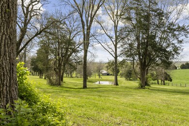 1186 Sneed Rd W unit 1196, Franklin, TN 37069 - photo 7