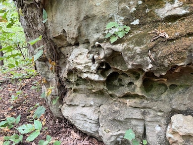 Tract 7 unit Terrapin Rd, Harrison, AR 72601 - photo 5