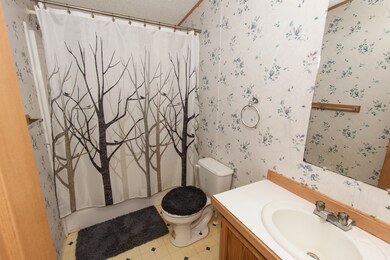 514 Michael Ln, Chenoa, IL 61726 - photo 6