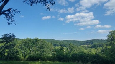 20170725_172048 (800x450)