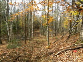 Lot #4 Spaulding Rd, Saint Johnsbury, VT 05819 - photo 2