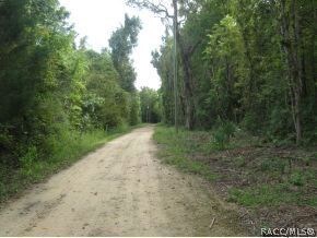 EASY ACCESS ROAD TO LOT