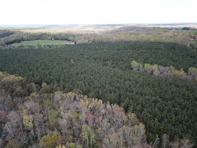 0 Thomas Springs Rd unit 204214, Crossville, TN 38572 - photo 6