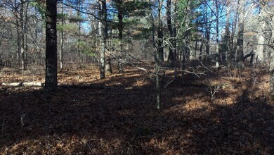 Lot 4 Mclain Rd, Grantsburg Township, WI 54840 - photo 7