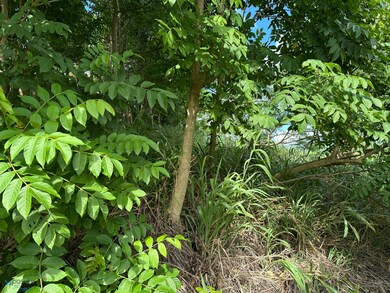 Km 3.9 Carr 189, Gurabo, PR 00778 - photo 4