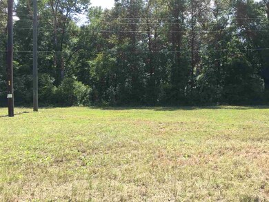 0 Ashley Hall Rd, Crawfordville, FL 32327 - photo 3