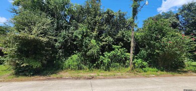 0 Stilt St, Baton Rouge, LA 70807 - photo 4