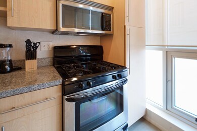 60 Spring 107 furnished 2016 4