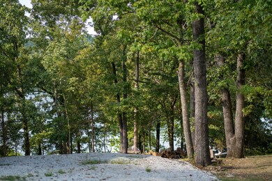 Lots 13-15 Silverbell Dr, Ruth B Rural Township, MO 65686 - photo 2