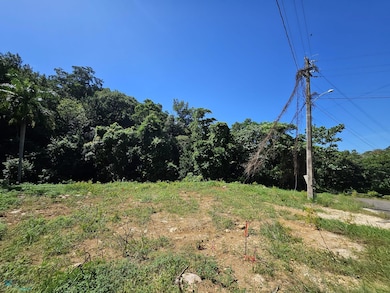 Km 129 Carr 2, Aguadilla, PR 00603 - photo 3