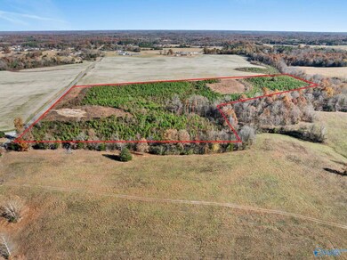 69 Danley Rd, Saint Joseph, TN 38481 - photo 5