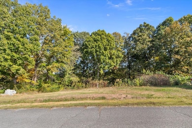 1006 Crestview Ct, Kingston Springs, TN 37082 - photo 6