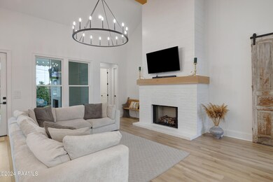 311 Canary Palm-4