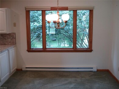 24 Linda Ln, Jefferson, OH 44047 - photo 5