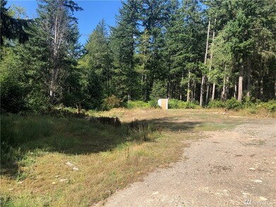 154 E Fox Run Ln, Grapeview, WA 98546 - photo 5