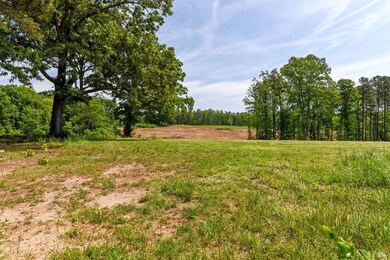 2 Mohawk Rd, Long Island, VA 24569 - photo 7