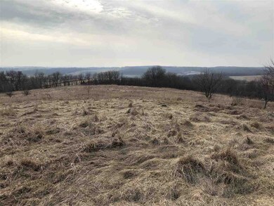 35.07 Ac Elmer Rd, Brooklyn, WI 53521 - photo 7